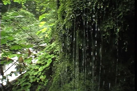 Wood stream 스톡 동영상 911873