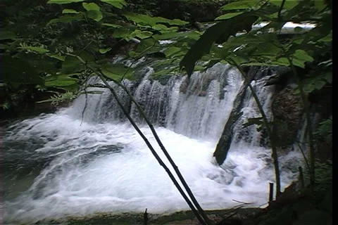 Wood stream Video stock 911880