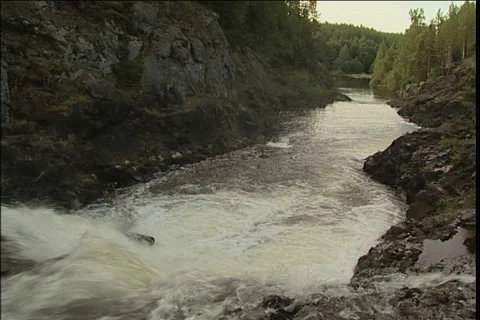 Wood stream Stock-Footage 911945