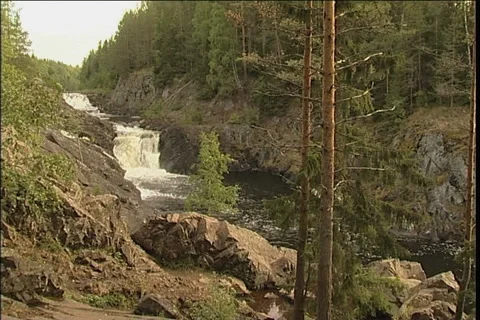 Wood stream 스톡 동영상 911961