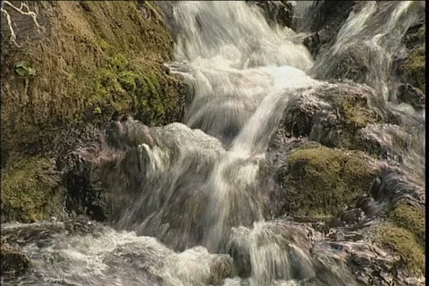 Wood stream Stock Footage