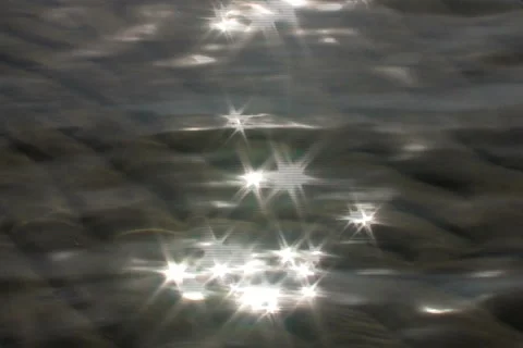 Wood stream Video stock 912013