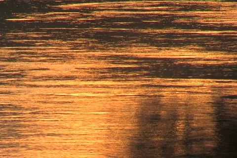 Wood stream Vídeos de archivo 912066