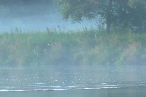 Wood stream Vídeo Stock 912211