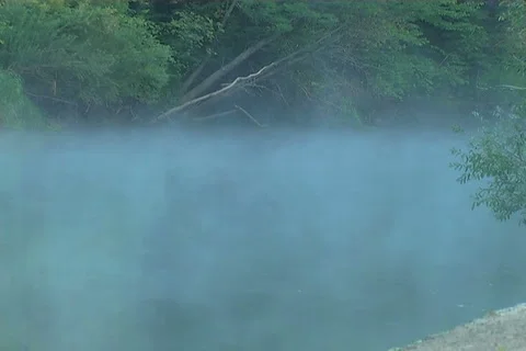 Wood stream Video stock 912229