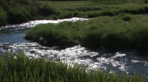 Wood stream Video stock 939611