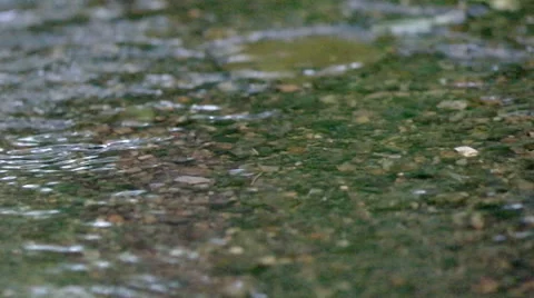 Wood stream on stones Stock Footage 40315071