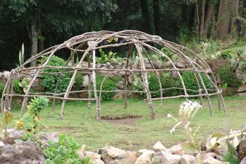 Wood structure Foto stock