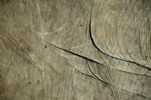 Wood structure Stock Photos