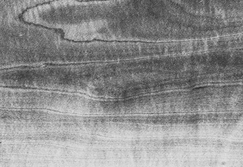 Wood structure Stock Photos