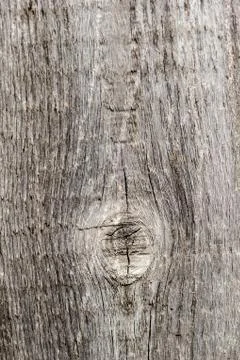 Wood surface background texture Stock Photos