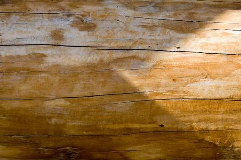 Wood surface background texture Stock Photos