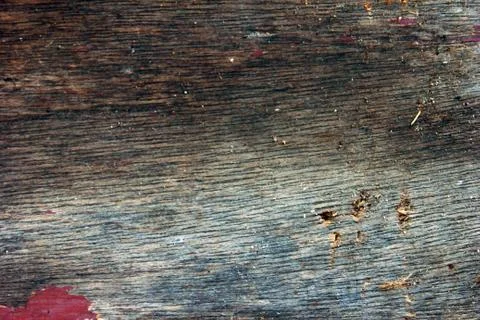 Wood surface with a beautiful pattern, with lines that look prominent, signif Stock Photos