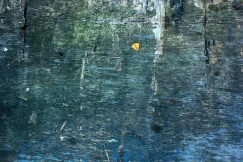 Wood surface with a beautiful pattern, with lines that look prominent, signif Stock Photos