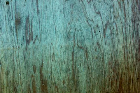 Wood surface with a beautiful pattern, with lines that look prominent, signif Stock Photos