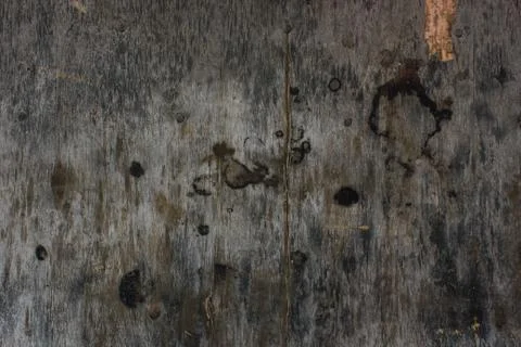 Wood surface with a beautiful pattern, with lines that look prominent, signif Stock Photos