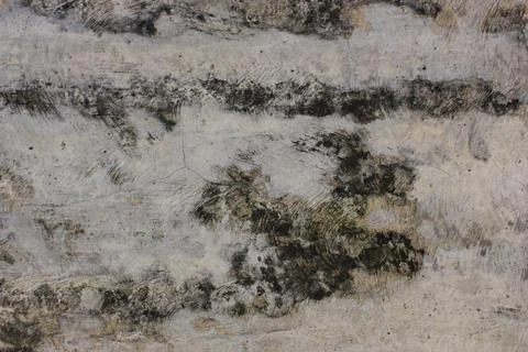Wood surface with a beautiful pattern, with lines that look prominent, signif Fotos de archivo