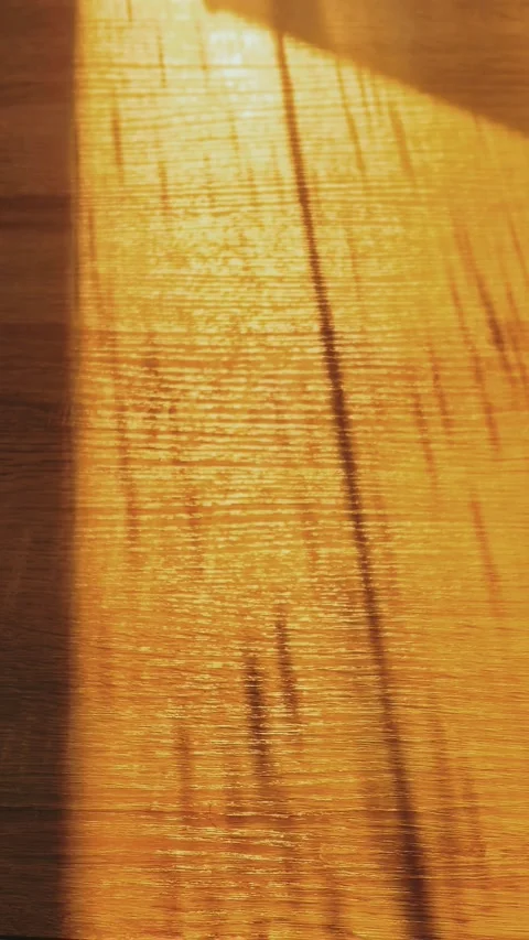 Wood surface with moving sunlight shadow pattern, abstract natural texture, mini Stock Footage 334426866