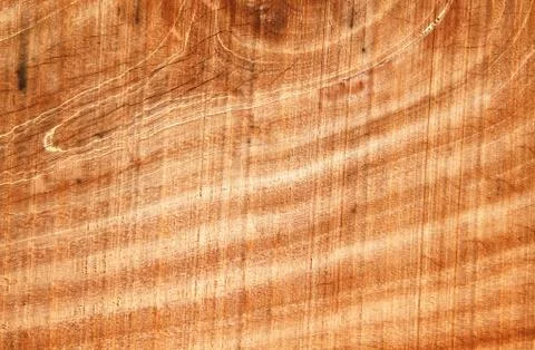 Wood surface or texture as background Stock Photos