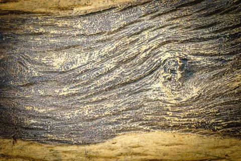 Wood Surface Stock Photos