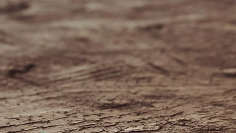 Wood surface shows detailed texture and patterns over a natural brown color Stock Footage 340016329