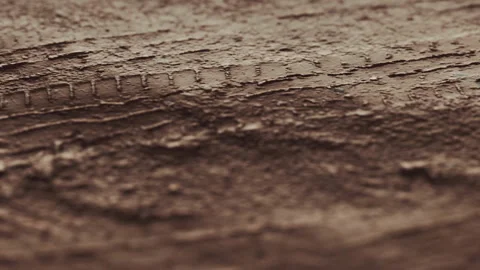 Wood surface shows natural texture and color during daylight hours Stock Footage 339460349