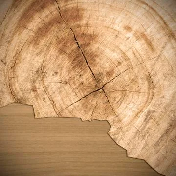 Wood surface texture background Stock Photos