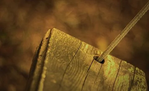 Wood swing Stock Photos