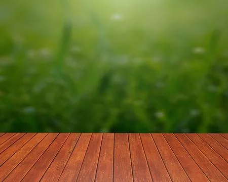 Wood table and forest background for show product or graphics design. Stock Illustration