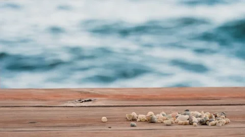 Wood table on a beach with shells and rocks, and a lake in the background Vídeos de archivo 315168799