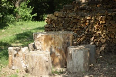 Wood table in the forest 2 Stock Photos