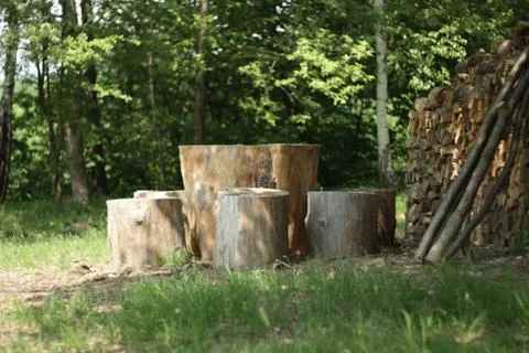 Wood table in the forest Stock Photos