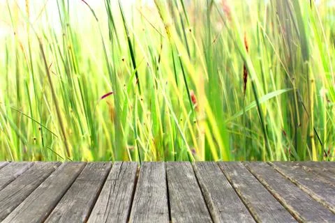 Wood table on grass background Stock Photos