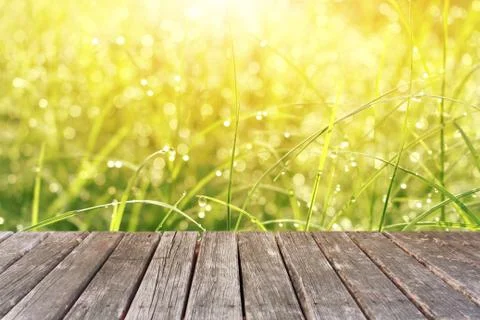 Wood table on grass background Stock Photos