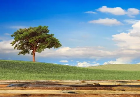 Wood table with nice beautiful background Stock Illustration