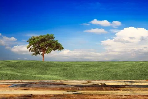 Wood table with nice beautiful background Stock Illustration