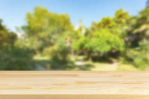 Wood table top on blur trees and sky background Stock Photos