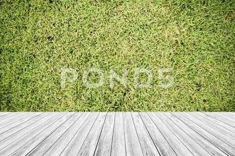 Wood terrace and Grass texture vintage style Stock Photos