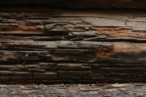 Wood texture 3 写真素材