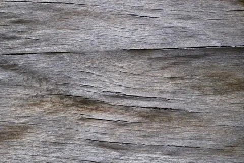 Wood texture abstract background. Surface of wood with nature color and pat.. Foto stock