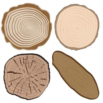 Wood texture and elements isolated. Vector illustration イラスト素材