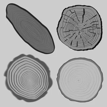 Wood texture and elements isolated. Vector illustration Illustrazione stock