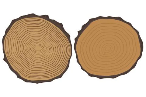 Wood texture and elements isolated. Vector illustration イラスト素材