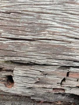 Wood texture and pattern Stock Photos
