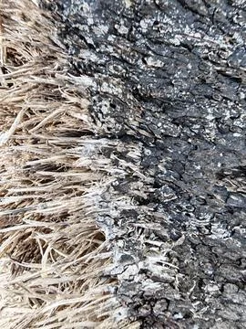 Wood texture and pattern Foto stock