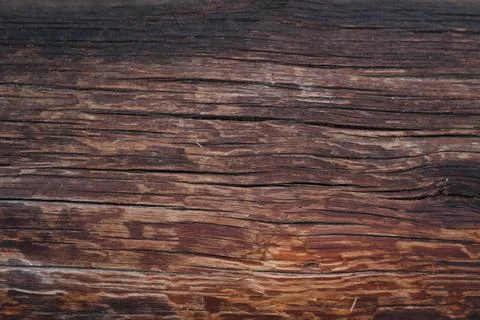 Wood Texture Background close-up Stock Photos