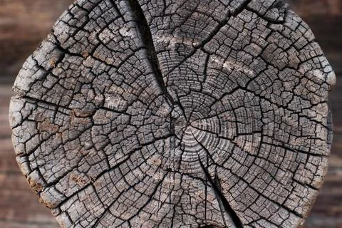 Wood Texture Background close-up Stock Photos