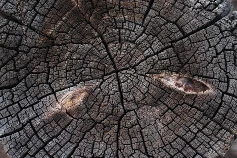 Wood Texture Background close-up Stock Photos