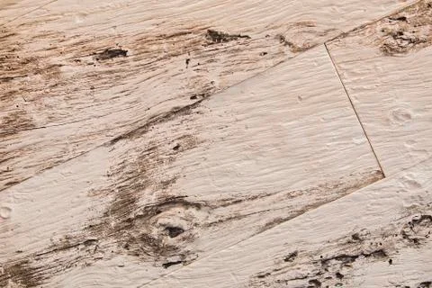 Wood texture background. Empty simple dark deep modern summer, spring, autumn Stock Photos