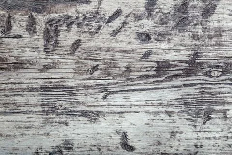 Wood texture background. Gray old wooden plank aged shabby texture as backgro Stock Photos
